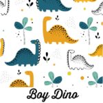 Boy Dino