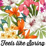 Feels Like Spring