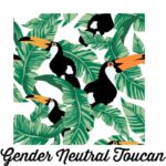 Gender Neutral Toucan