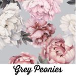 Grey Peonies