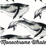 Monochrome Whale