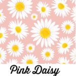 Pink Daisy