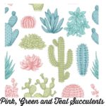 Pink Green Teal Succulents