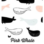 Pink Whale