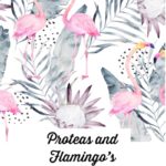 Protea & Flamingo