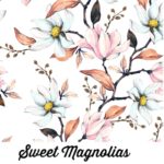 Sweet Magnolias