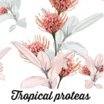 Tropical Proteas