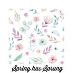 Spring has Sprung