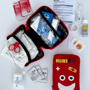 Mini First Aid Kit