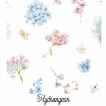 Hydrangeas