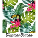 Tropical Toucan